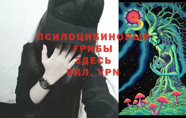 MDMA Premium VHQ Армянск